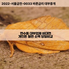 연수동대부대출 연수동비대면대출 충북충주시대부업체 연수동급전대출개인돈 연수동소액월변대출