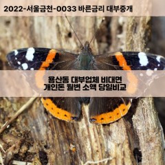 용산동대부대출 용산동비대면대출 충북충주시대부업체 용산동급전대출개인돈 용산동소액월변대출