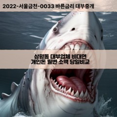 상평동대부대출 상평동비대면대출 전북정읍시대부업체 상평동급전대출개인돈 상평동소액월변대출