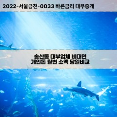 송산동대부대출 송산동비대면대출 전북정읍시대부업체 송산동급전대출개인돈 송산동소액월변대출