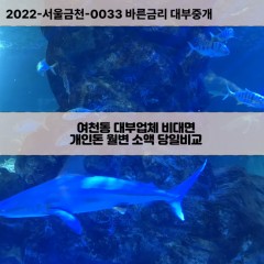 여천동대부대출 여천동비대면대출 포항시북구대부업체 여천동급전대출개인돈 여천동소액월변대출