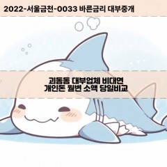 괴동동대부대출 괴동동비대면대출 포항시남구대부업체 괴동동급전대출개인돈 괴동동소액월변대출