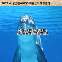 대월면대부대출 마장면비대면대출 이천시대부업체 모가면급전대출개인돈 백사면소액월변대출