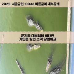 문지동대부대출 문지동비대면대출 대전시유성구대부업체 문지동급전대출개인돈 문지동소액월변대출