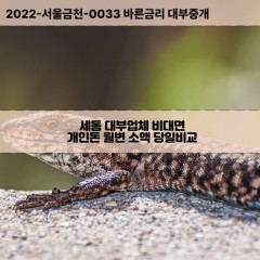 세동대부대출 세동비대면대출 대전시유성구대부업체 세동급전대출개인돈 세동소액월변대출