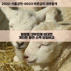 월명동대부대출 월명동비대면대출 전북군산시대부업체 월명동급전대출개인돈 월명동소액월변대출