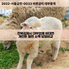 공덕면대부대출 광활면비대면대출 전북김제시대부업체 금구면급전대출개인돈 금산면소액월변대출