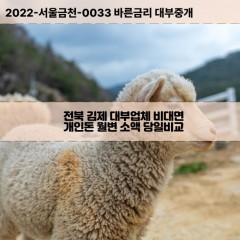 진봉면대부대출 청하면비대면대출 전북김제대부업체 황산면급전대출개인돈 전라북도소액월변대출