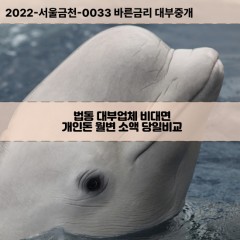 법동대부대출 법동비대면대출 대전대덕구대부업체개인돈 법동월변대부업체 법동소액월변대출