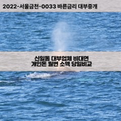 신일동대부대출 신일동비대면대출 대전시대덕구대부업체개인돈 신일동월변대부업체 신일동소액월변대출