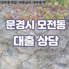 모전동대부대출 모전동비대면대출 문경시대부업체 모전동급전대출개인돈 모전동소액월변대출