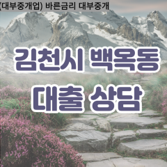 백옥동대부대출 백옥동비대면대출 김천시대부업체 백옥동급전대출개인돈 백옥동소액월변대출