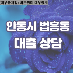 법흥동대부대출 법흥동비대면대출 안동시대부업체 법흥동급전대출개인돈 법흥동소액월변대출