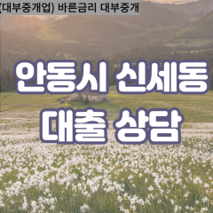 신세동대부대출 신세동비대면대출 안동시대부업체 신세동급전대출개인돈 신세동소액월변대출