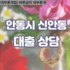 신안동대부대출 신안동비대면대출 안동시대부업체 신안동급전대출개인돈 신안동소액월변대출