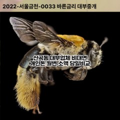 산곡동대부대출 산곡동비대면대출 의정부시대부업체 산곡동급전대출개인돈 산곡동소액월변대출