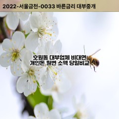 호원동대부대출 호원동비대면대출 의정부시대부업체 호원동급전대출개인돈 호원동소액월변대출