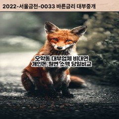 오학동대부대출 오학동비대면대출 여주시대부업체 오학동급전대출개인돈 오학동소액월변대출