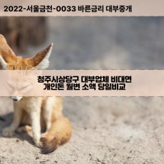 가덕면대부대출 남일면비대면대출 청주시상당구대부업체 낭성면급전대출개인돈 문의면소액월변대출