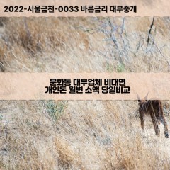 문화동대부대출 문화동비대면대출 청주시상당구대부업체 문화동급전대출개인돈 문화동소액월변대출