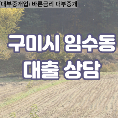 임수동대부대출 임수동비대면대출 구미대부업체 임수동급전대출개인돈 임수동소액월변대출