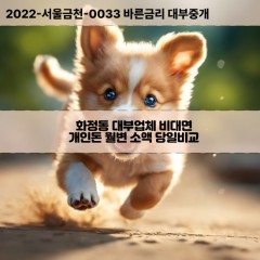 화정동대부대출 화정동비대면대출 전북남원시대부업체 화정동급전대출개인돈 화정동소액월변대출