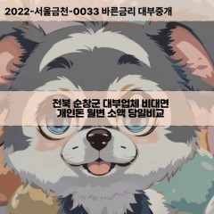 순창읍대부대출 쌍치면비대면대출 전북순창군대부업체 유등면급전대출개인돈 인계면소액월변대출