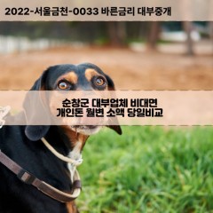 적성면대부대출 팔덕면비대면대출 전북순창군대부업체 풍산면급전대출개인돈 전라북도소액월변대출