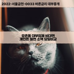 요촌동대부대출 요촌동비대면대출 전북김제시대부업체 요촌동급전대출개인돈 요촌동소액월변대출