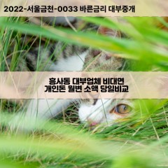 흥사동대부대출 흥사동비대면대출 전북김제시대부업체 흥사동급전대출개인돈 흥사동소액월변대출