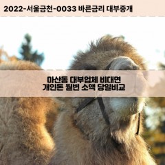 마산동대부대출 마산동비대면대출 대전동구대부업체개인돈 마산동월변대부업체 마산동소액월변대출