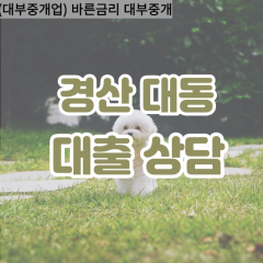 대동대부대출 대동비대면대출 경산시대부업체 대동급전대출개인돈 대동소액월변대출