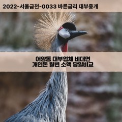 어양동대부대출 어양동비대면대출 전북익산시대부업체 어양동급전대출개인돈 어양동소액월변대출