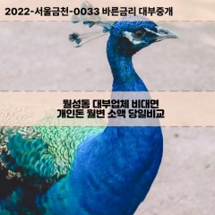 월성동대부대출 월성동비대면대출 전북익산시대부업체 월성동급전대출개인돈 월성동소액월변대출