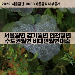 서울월변 | 경기월변 | 인천월변 | 수도권월변  | 비대면월변대출