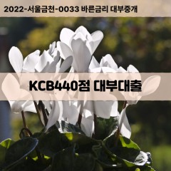 KCB440점대부대출 KCB440점비대면대출 KCB440점소액대부업체 KCB440점급전대출개인돈 KCB440점월변대출