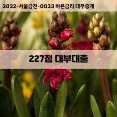 KCB227점대부대출 NICE227점비대면대출 KCB227점소액대부업체 NICE227점급전대출개인돈 KCB227점월변대출