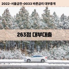 KCB263점대부대출 NICE263점비대면대출 KCB263점소액대부업체 NICE263점급전대출개인돈 KCB263점월변대출