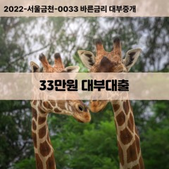 33만원대부대출 33만원비대면대출 33만원소액대부업체 33만원급전대출개인돈 33만원월변대출