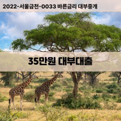 35만원대부대출 35만원비대면대출 35만원소액대부업체 35만원급전대출개인돈 35만원월변대출