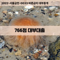 KCB766점대부대출 NICE766점비대면대출 KCB766점소액대부업체 NICE766점급전대출개인돈 KCB766점월변대출