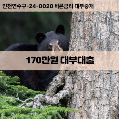 170만원대부대출 170만원비대면대출 170만원소액대부업체 170만원급전대출개인돈 170만원월변대출