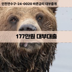 177만원대부대출 177만원비대면대출 177만원소액대부업체 177만원급전대출개인돈 177만원월변대출