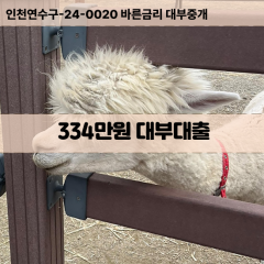 334만원대부대출 334만원비대면대출 334만원소액대부업체 334만원급전대출개인돈 334만원월변대출