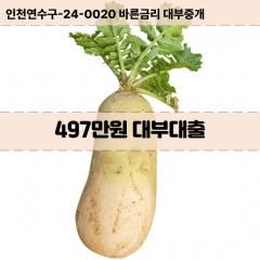 497만원대부대출 497만원비대면대출 497만원소액대부업체 497만원급전대출개인돈 497만원월변대출