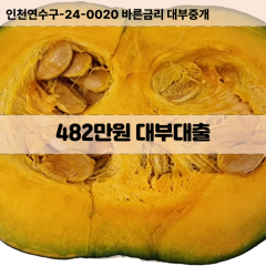 482만원대부대출 482만원비대면대출 482만원소액대부업체 482만원급전대출개인돈 482만원월변대출