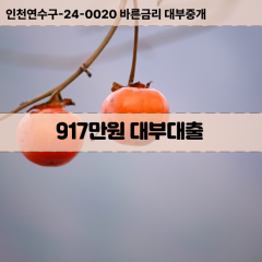 917만원대부대출 917만원비대면대출 917만원소액대부업체 917만원급전대출개인돈 917만원월변대출